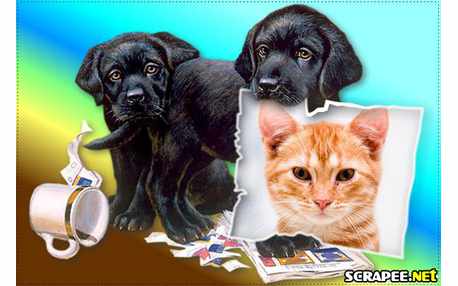 Moldura - Caozinho Carregando Foto