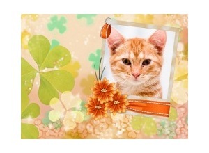 Moldura - Clover And Frame 2