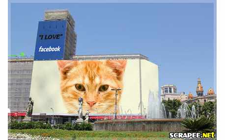 Moldura - Eu Amo Facebook