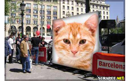 Moldura - Sua Foto No Outdoor