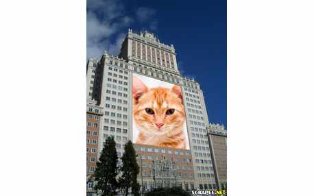 Moldura - Coloque Sua Foto No Predio