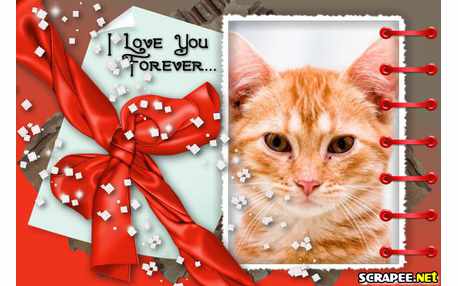 Moldura - Amo Voce Para Sempre