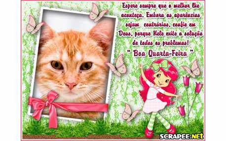 Moldura - Lindissima Quarta Feira