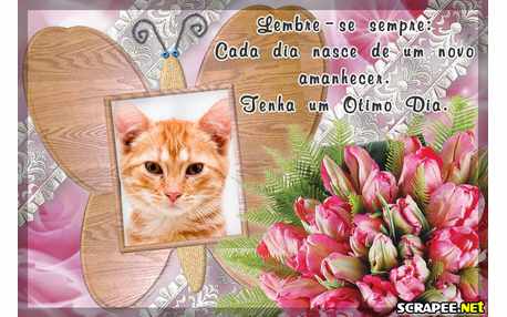 Moldura - Nascer De Um Novo Dia