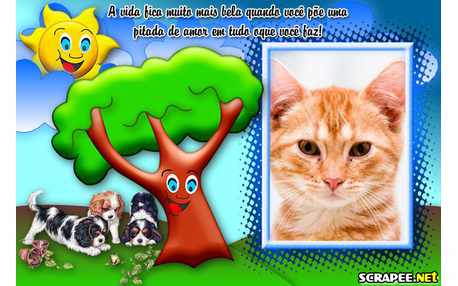 Moldura - Pitada De Amor