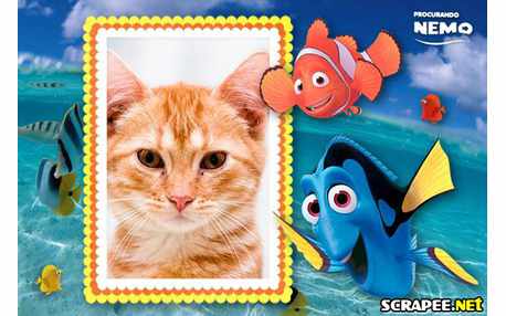 Moldura - Procurando Nemo
