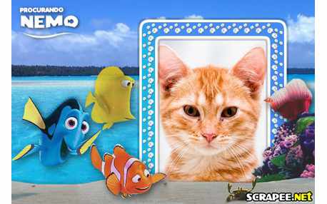 Moldura - Filme Procurando O Nemo