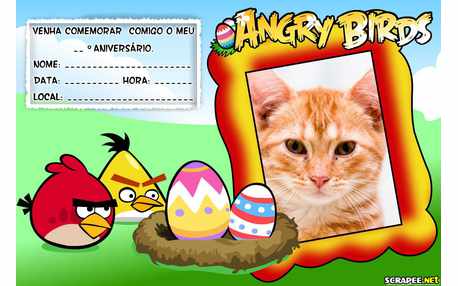 Moldura - Convite Angry Birds