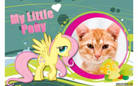 Moldura - My Little Poney
