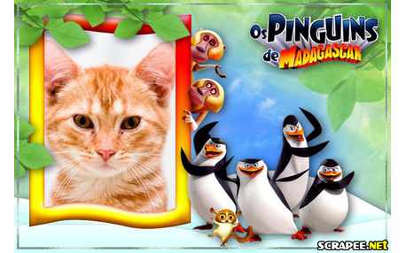 Moldura - Molduras Os Pinguins De Madagascar