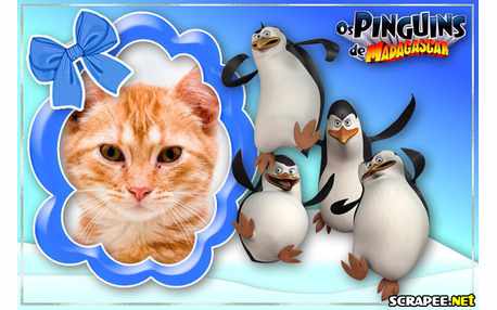 Moldura - Filme Os Pinguins De Madagascar