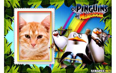 Moldura - Os Pinguins De Madagascar