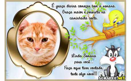 Moldura - Semana Com A Graca Divina