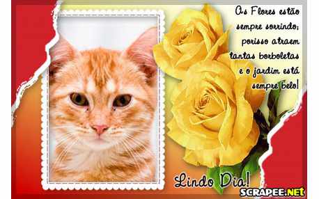 Moldura - Sempre Sorrindo