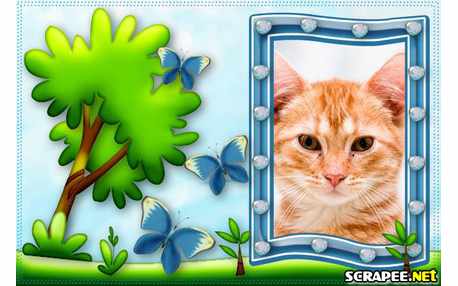 Moldura - Arvore Com Borboletas