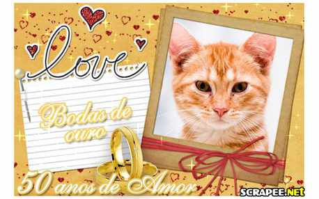 Moldura - Bodas De Ouro