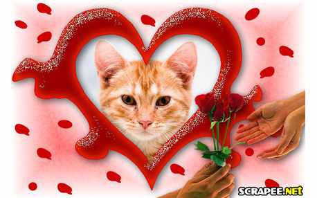 Moldura - Belo Coracao