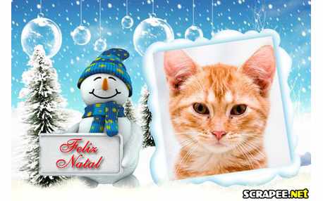 Moldura - Presepio No Gelo