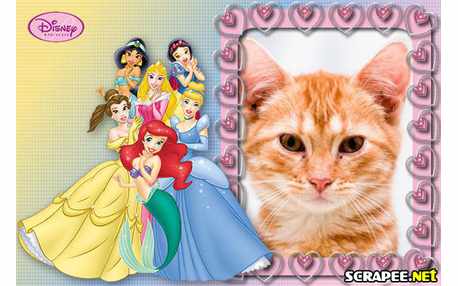 Moldura - Princesas Disney