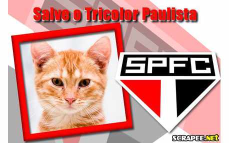 Moldura - Sao Paulo Futebol Clube