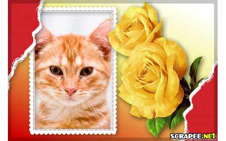 Moldura - Rosas Amarelas