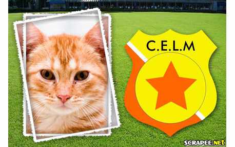 Moldura - Laranjinha Do Interior Do Ceara