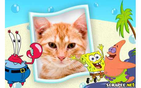 Moldura - Bob Esponja  Patrick E O Siri