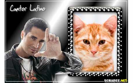 Moldura - Cantor Latino