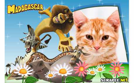 Moldura - Madagascar