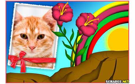 Moldura - Flor No Deserto