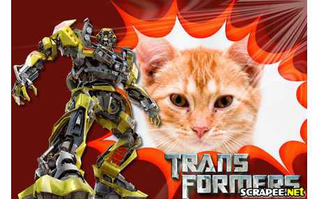 Moldura - Transformers