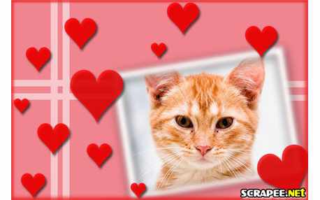 Moldura - Coracaosinhos Para Foto