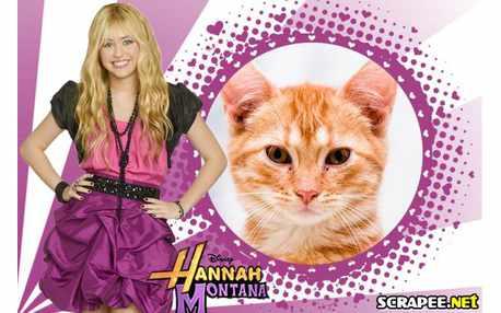 Moldura - Moldura Hannah Montana