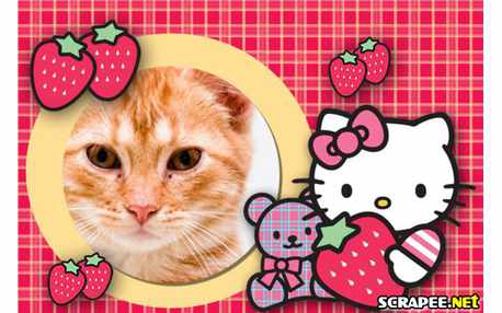 Moldura - Moldura Hello Kitty