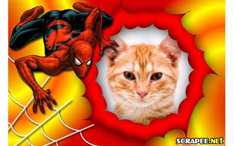 Moldura - Homem Aranha   Teia De Aranha