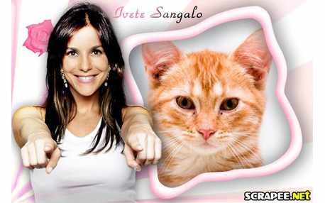 Moldura - Ivete Sangalo