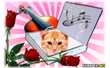 Moldura - Violino E Album