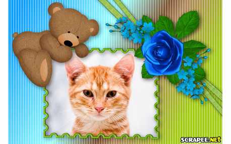 Moldura - Ursinho Dormindo