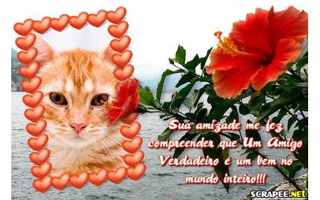 Moldura - Um Amigo Verdadeiro