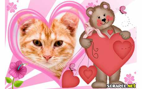 Moldura - Urso Adulto