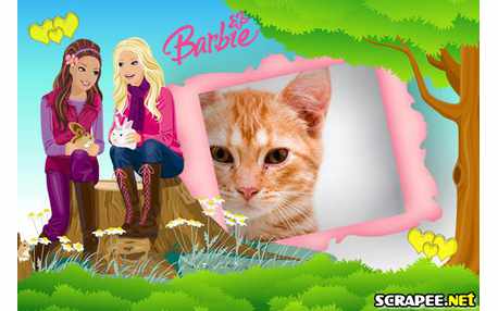 Moldura - Barbie Jovem