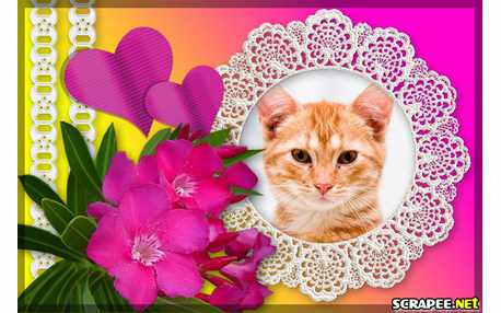 Moldura - Orquideas Pink