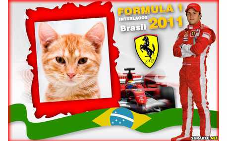 Moldura - Formula 1    Interlagos 2011