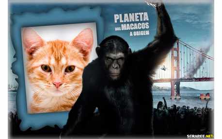 Moldura - Planeta Dos Macacos   A Origem