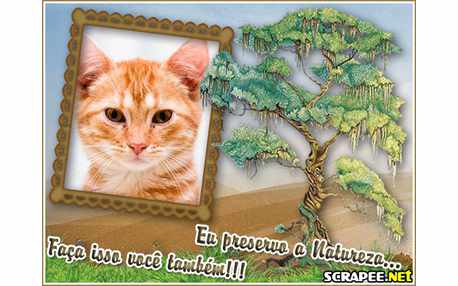 Moldura - Preserve A Natureza