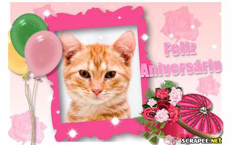 Moldura - Moldura De Aniversario