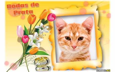 Moldura - Bodas De Prata