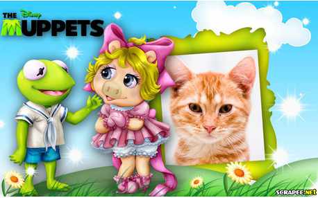 Moldura - Muppets Baby