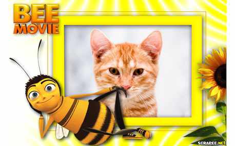 Moldura - Abelha Barry Benson   Filme Bee Movie