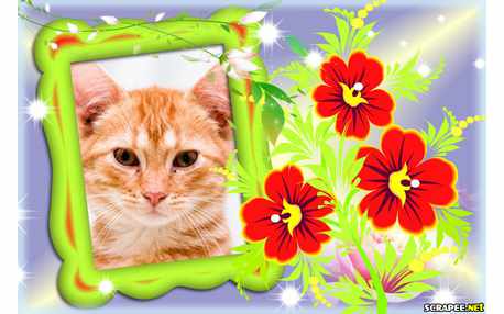 Moldura - Moldura Floral